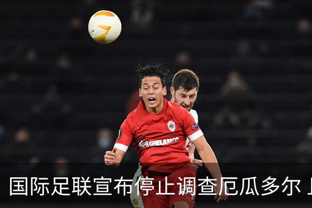 国际足联宣布停止调查厄瓜多尔 且不做任何处罚