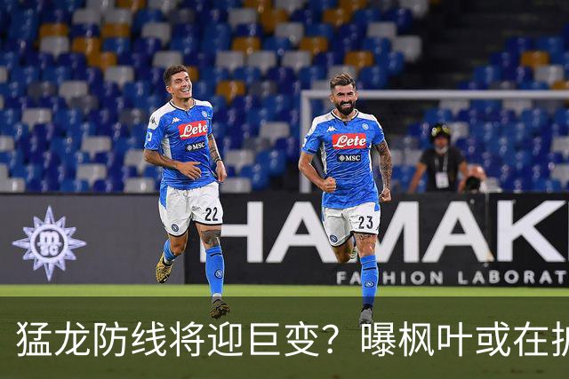 猛龙防线将迎巨变？曝枫叶或在扩军选秀中放弃摩根·里利